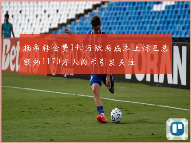 杨希转会费143万欧或成本土标王总额约1170万人民币引发关注