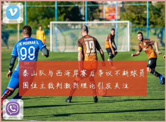 泰山队与西海岸赛后争议不断球员围住主裁判激烈理论引发关注