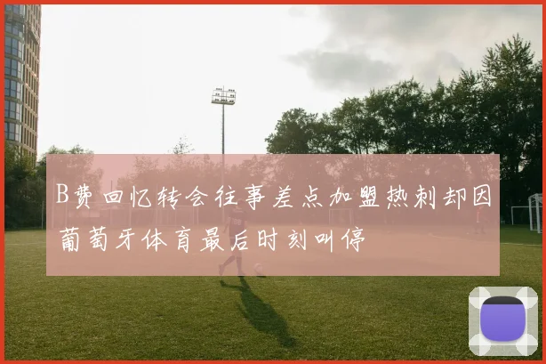 B费回忆转会往事差点加盟热刺却因葡萄牙体育最后时刻叫停
